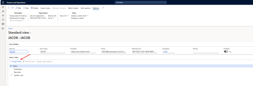 D365FO User roles